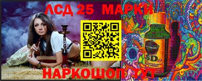 амф Дубна