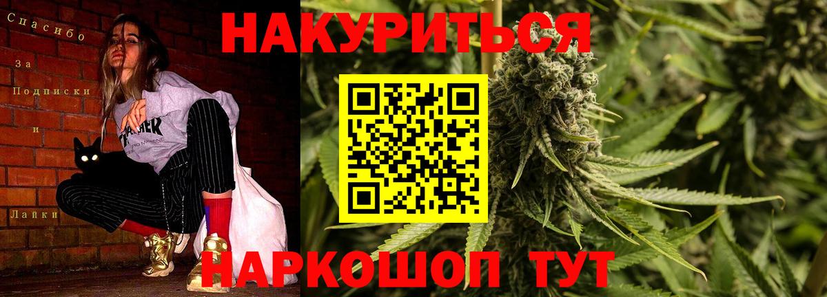 Каннабис планчик Новоалександровск